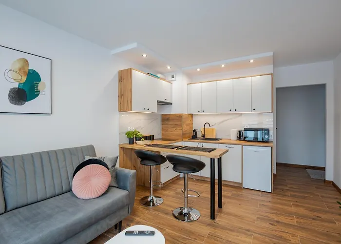 Vip Apartamenty Niecia Z Klimatyzacja